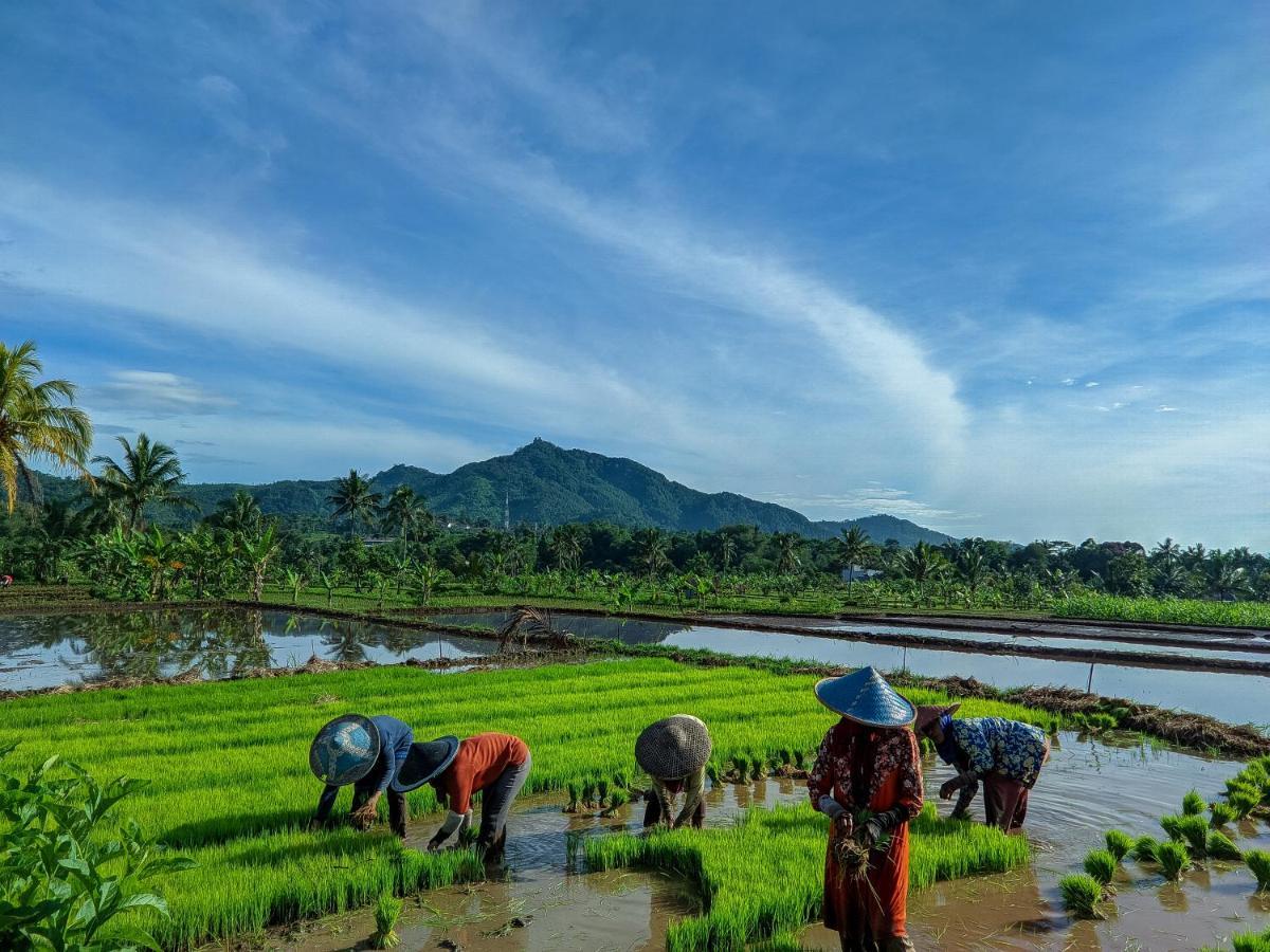 Farmstay Manangel Sindanglaka Esterno foto