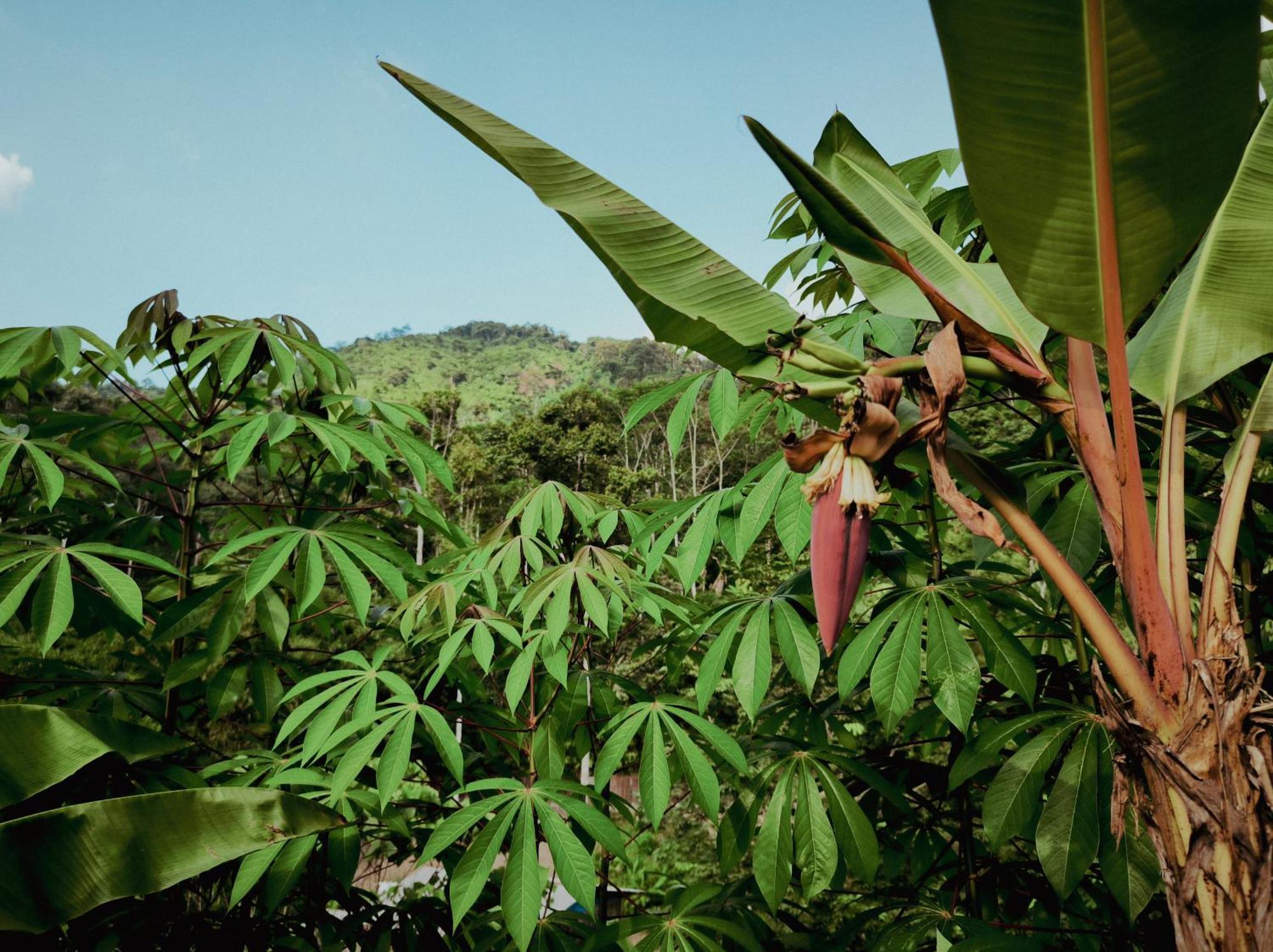 Farmstay Manangel Sindanglaka Esterno foto