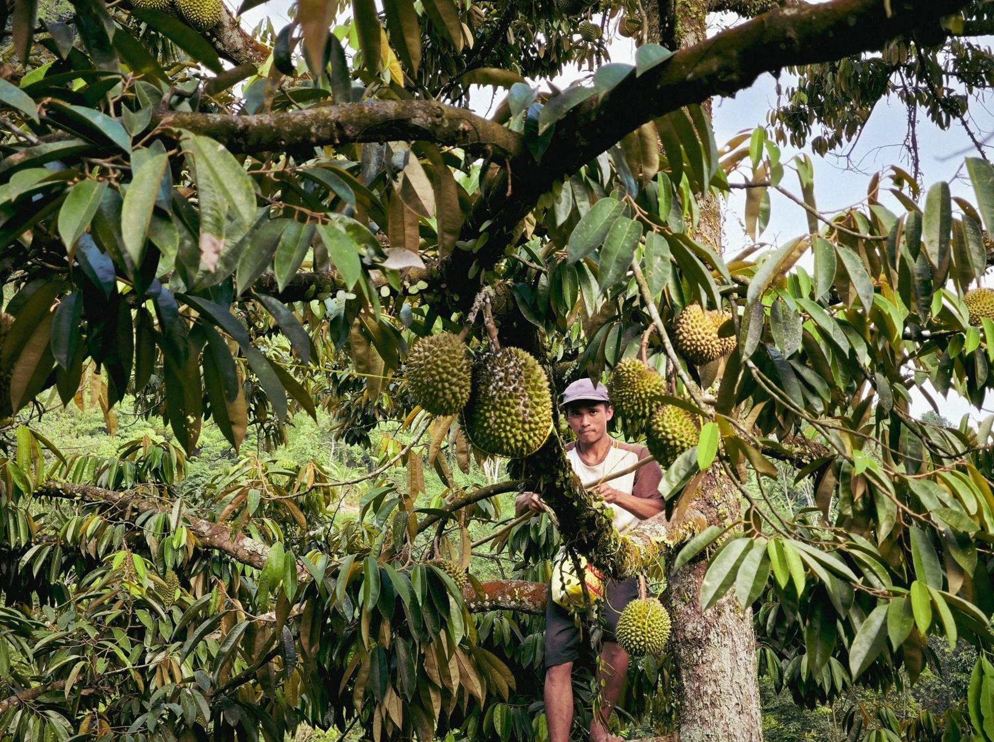 Farmstay Manangel Sindanglaka Esterno foto
